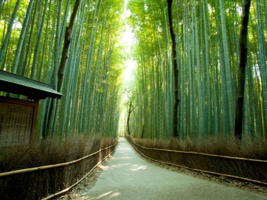 古都・京都への旅特集