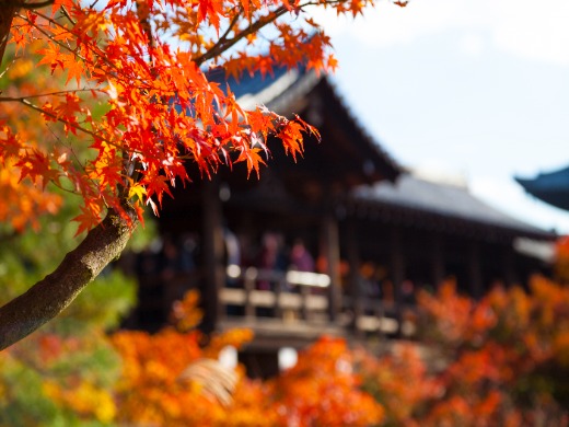 古都・京都への旅