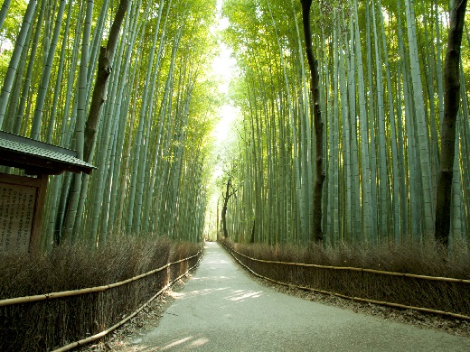 京都旅行・ツアー特集