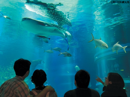 大阪を代表する水族館・海遊館