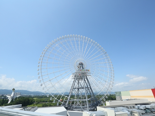 Redhorse OSAKA WHEEL