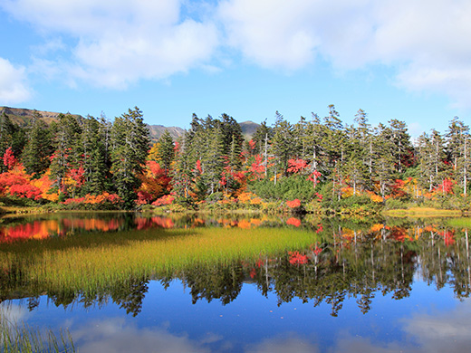 北海道