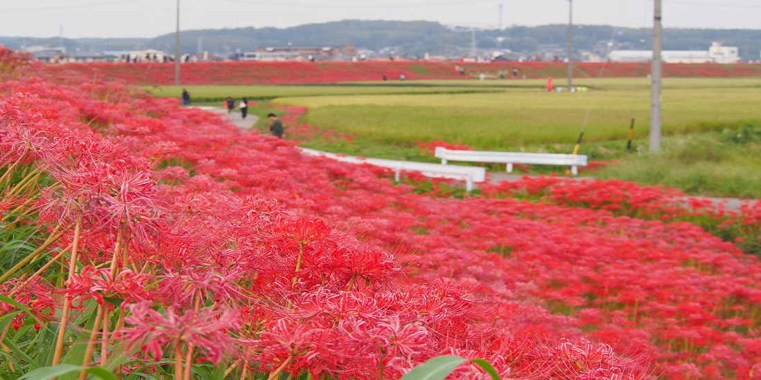 旅行 連休 9 月