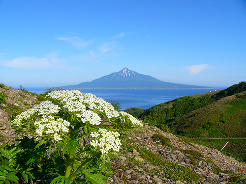 利尻・礼文島への旅