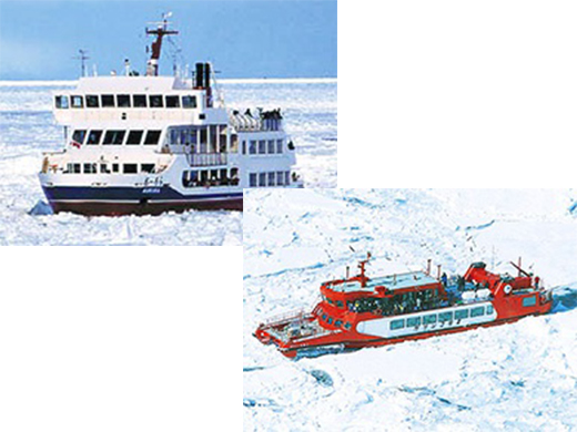 ツアー 流氷 流氷観光砕氷船おーろら乗船日帰りバスツアー2021