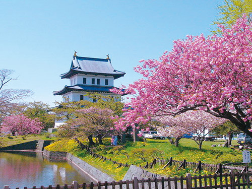 松前城の桜のイメージ