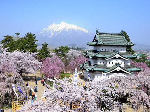 弘前城の桜のイメージ