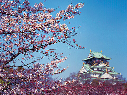 大阪城の桜のイメージ