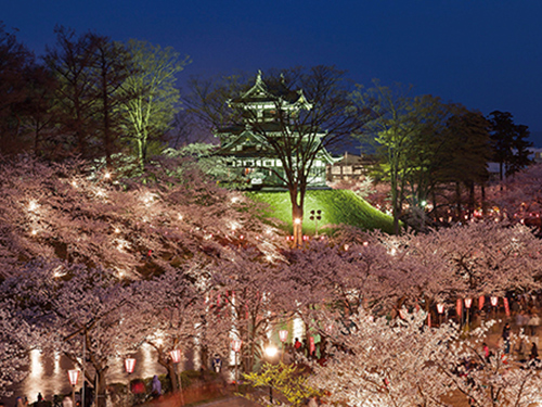高田公園の桜のイメージ