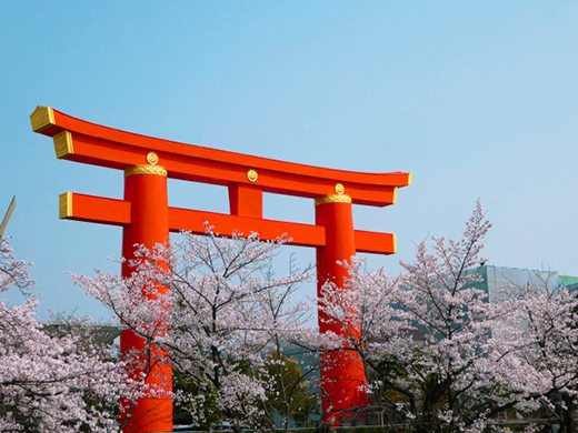 平安神宮の桜イメージ
