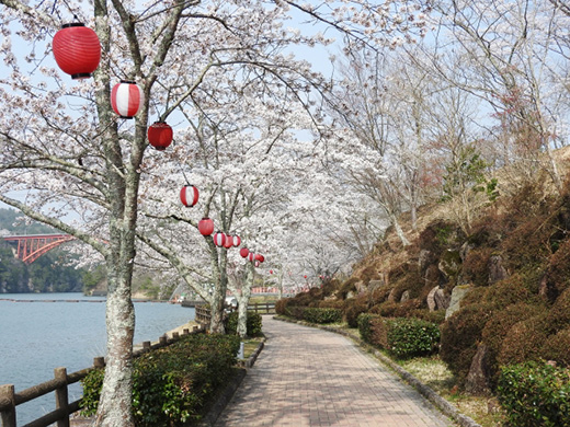恵那峡の桜のイメージ