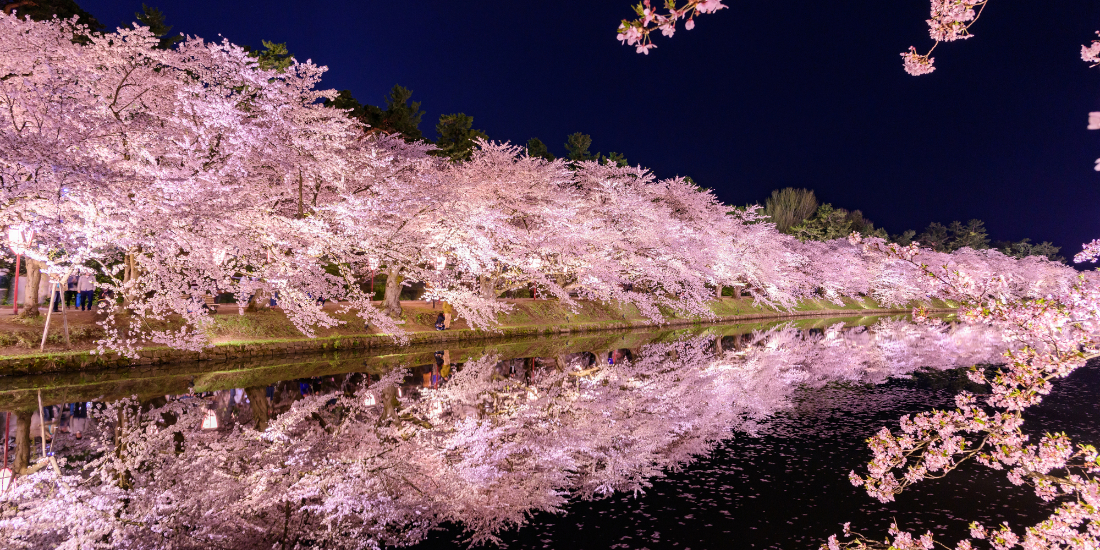 全国の桜まつり3選 首都圏発 近畿日本ツーリスト