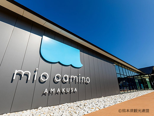 mio camino AMAKUSA