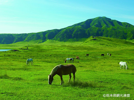 草千里ヶ浜