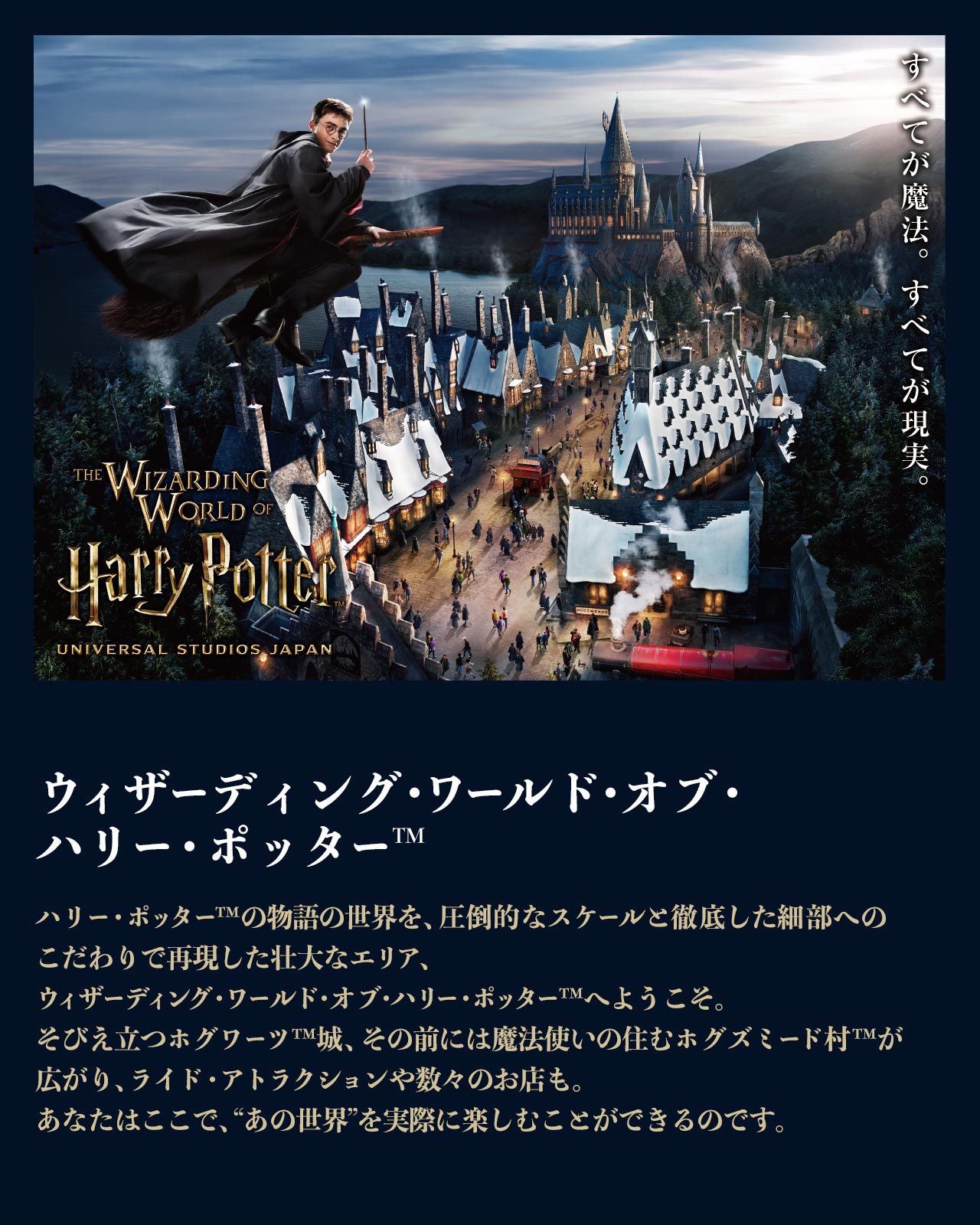 ユニバーサルスタジオジャパン 入場券 2枚 (リロクラブ 2025.3 ユニバーサルスタジオジャパン 入場券 2枚 (リロクラブ 2025.3
