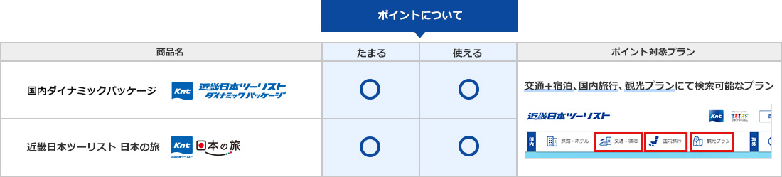 交通+宿泊、国内旅行、観光プランのポイントについての表