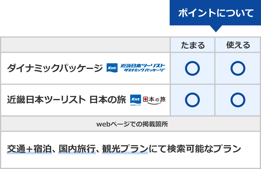 交通+宿泊、国内旅行、観光プランのポイントについての表
