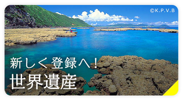 21年 近ツーの夏売りでいく おすすめテーマ旅 国内旅行 ツアー 近畿日本ツーリスト