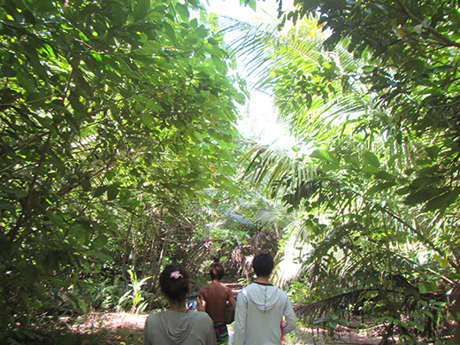 カープ島のジャングル
