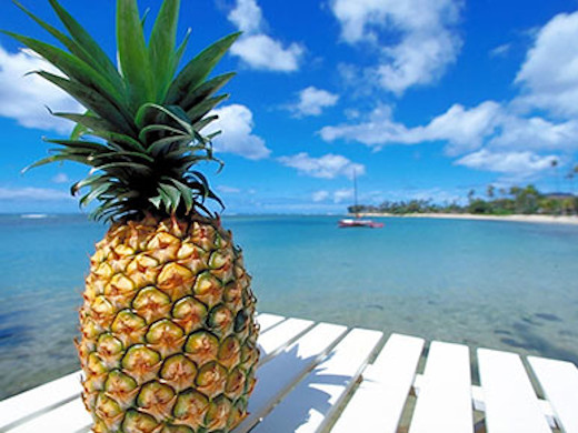 モーレア島の名産、絶品パイナップルをぜひご賞味ください♪