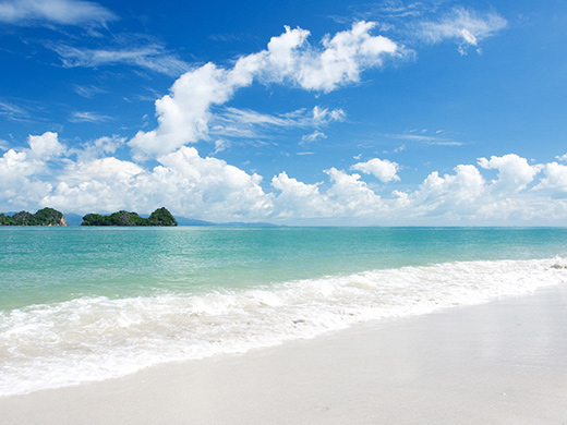 Pulau Langkawi ランカウイ島 マレーシア パステル画 Pulau Langkawi ランカウイ島 マレーシア パステル画 絵画