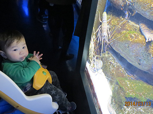 ママ社員の旅日記 息子が11カ月の時 鳥羽 伊勢の1泊2日の旅 旅する地球 近畿日本ツーリスト ママ社員の旅日記 息子が11カ月の時 鳥羽 伊勢の1泊2日の旅 旅する地球 近畿日本ツーリスト