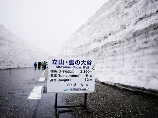 6月上旬の雪の大谷の気温。