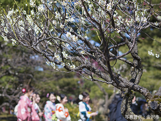 金沢女子旅におすすめ 着物で金沢街歩き 旅する地球 近畿日本ツーリスト
