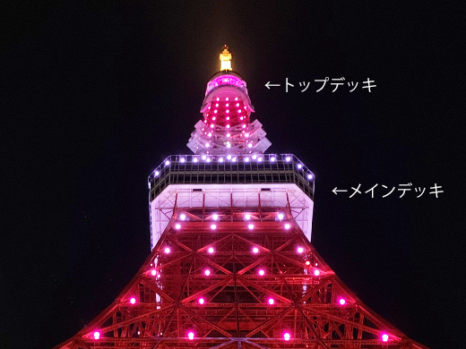 新しくなった大人の観光スポット 東京タワーに行こう 旅する地球 近畿日本ツーリスト 新しくなった大人の観光スポット 東京タワーに行こう 旅する地球 近畿日本ツーリスト