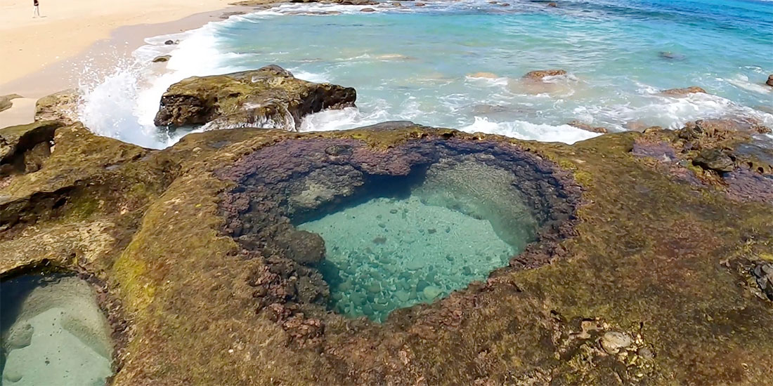 ゆったりとした時間を過ごす 離島 世界自然遺産 奄美大島 旅する地球 近畿日本ツーリスト