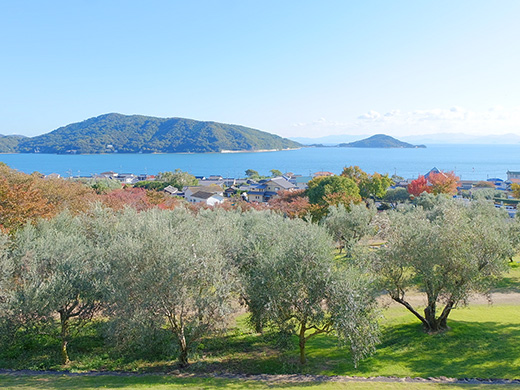 道の駅 小豆島オリーブ公園