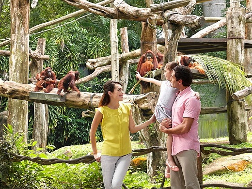 シンガポール動物園（マンダイ・ズー）