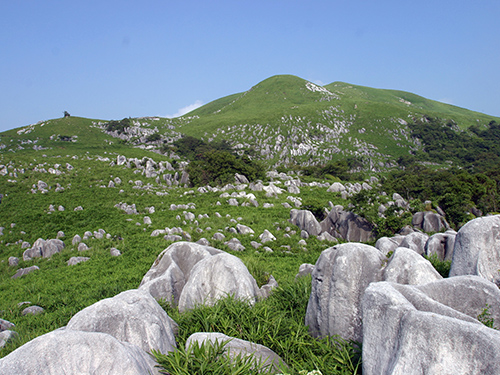 平尾台