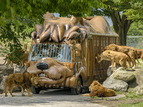 写真提供：「九州自然動物公園アフリカンサファリ」