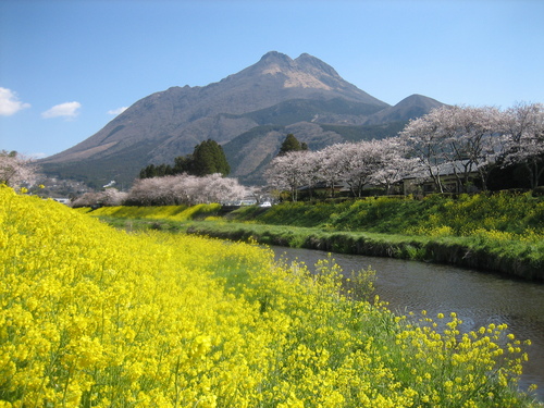 由布岳