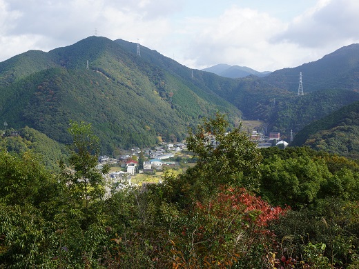 なかつ平成の森