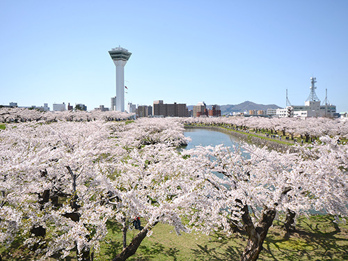 五稜郭タワー