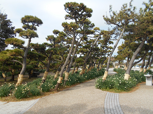 神奈川県立城ケ島公園