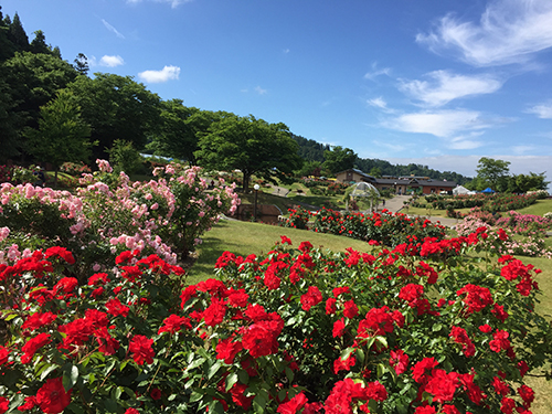 東沢公園