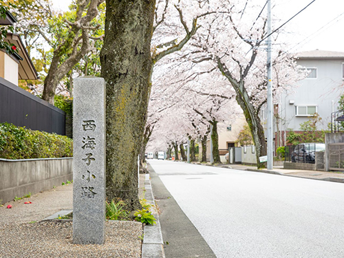 西海子小路