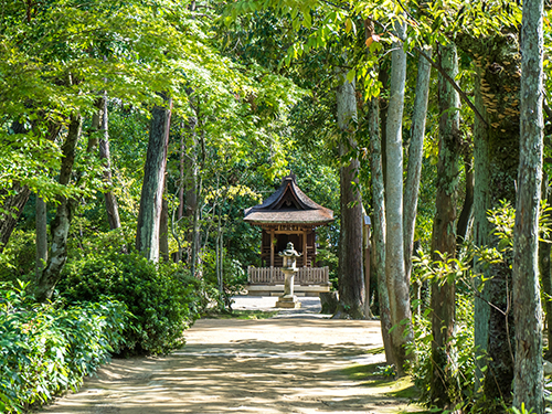 唐招提寺