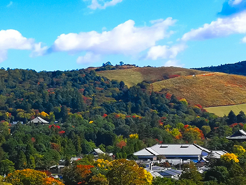 若草山