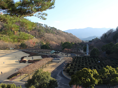 徳島県立神山森林公園イルローザの森