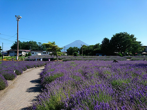 八木崎公園