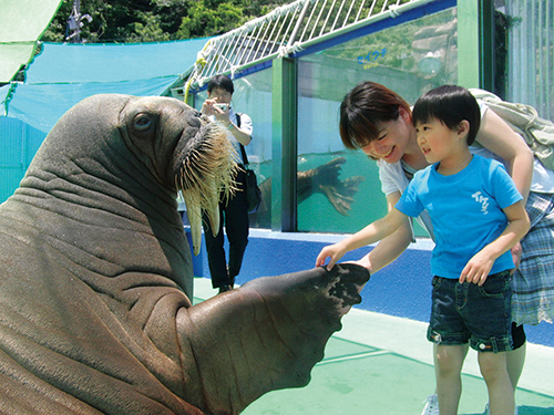 伊勢夫婦岩ふれあい水族館 伊勢シーパラダイス