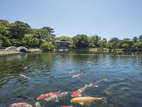 徳川園