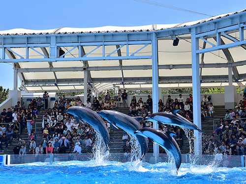 新潟市水族館マリンピア日本海