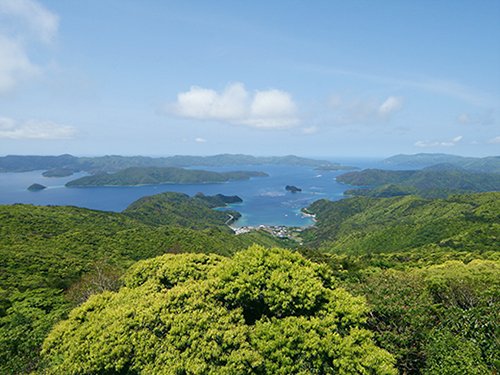 油井岳展望台