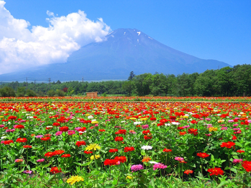 花の都公園