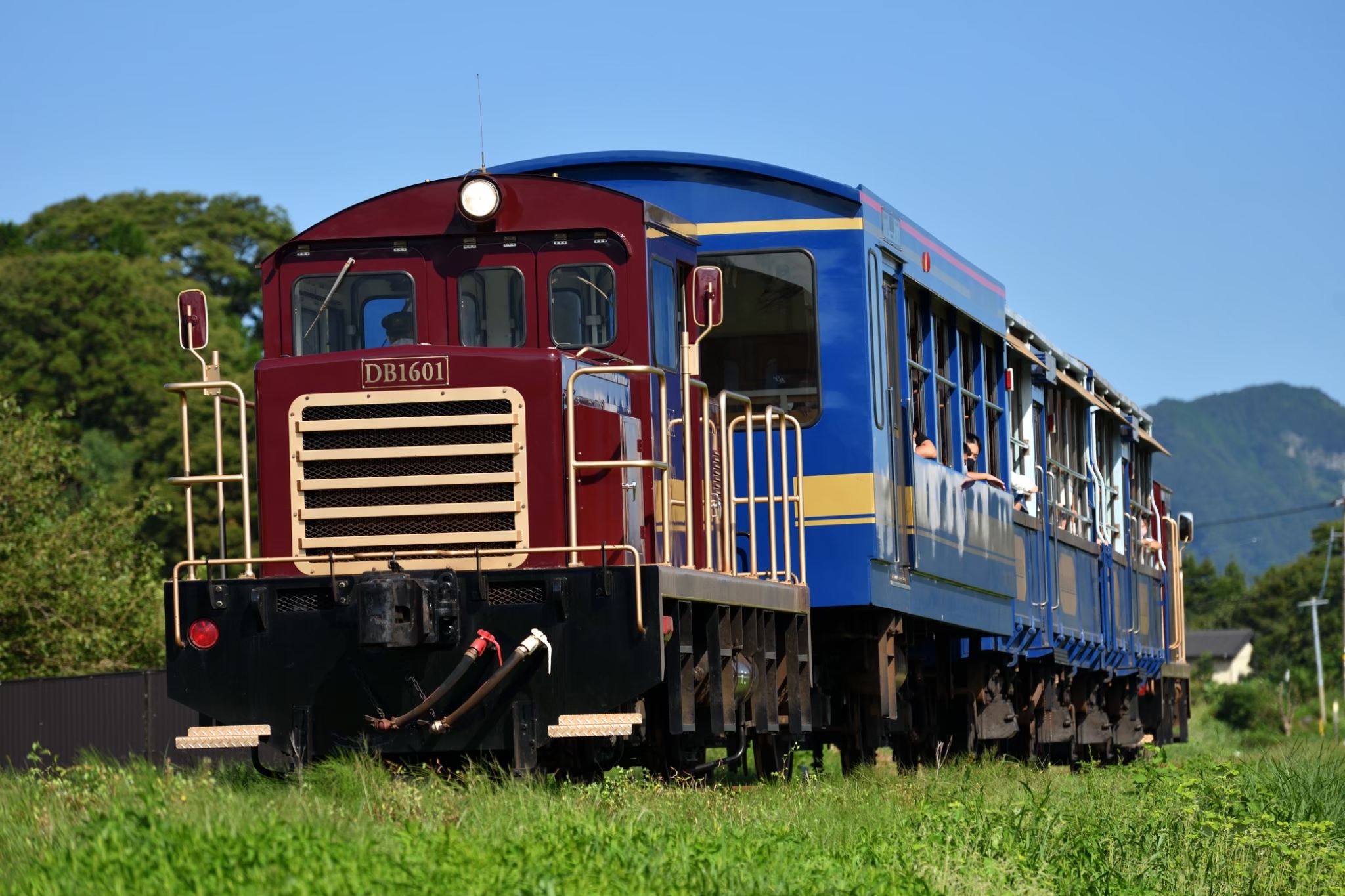 南阿蘇鉄道トロッコ列車